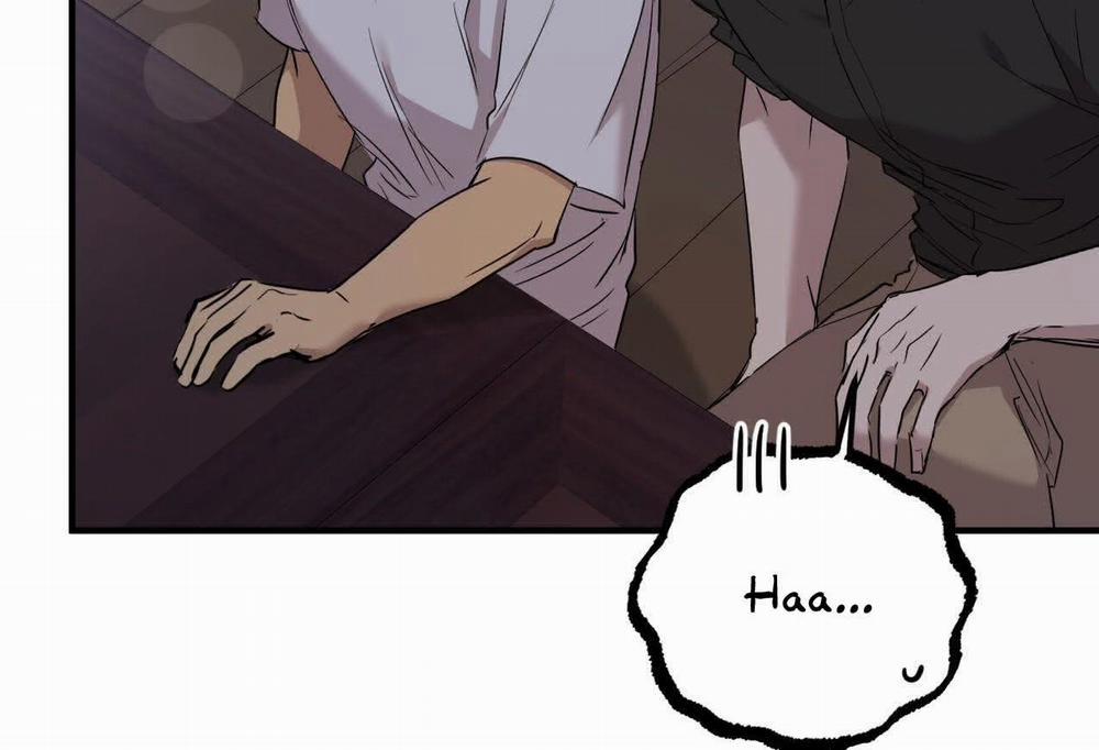 Đàn Thỏ Của Habibi 58 trang 11