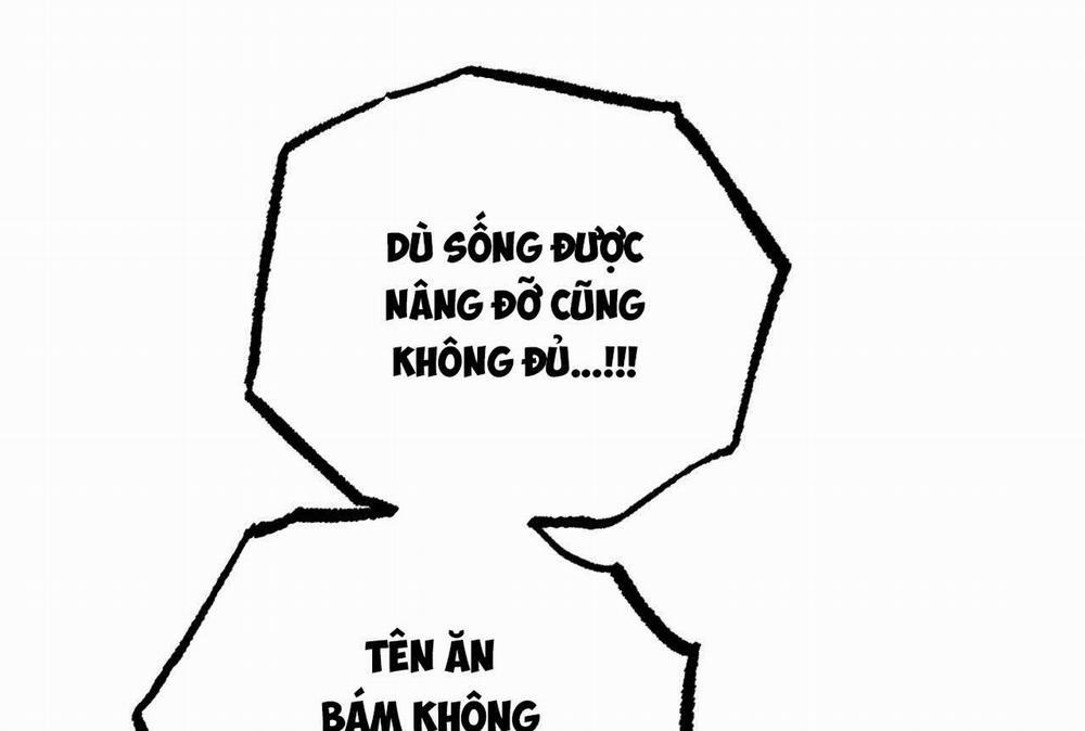 Đàn Thỏ Của Habibi 58 trang 120