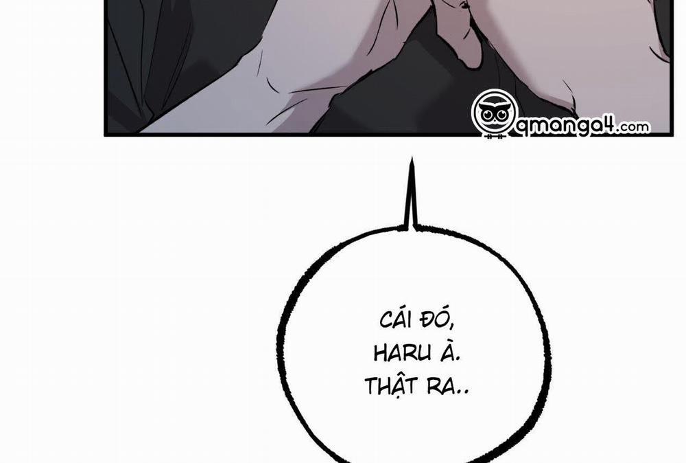 Đàn Thỏ Của Habibi 58 trang 127