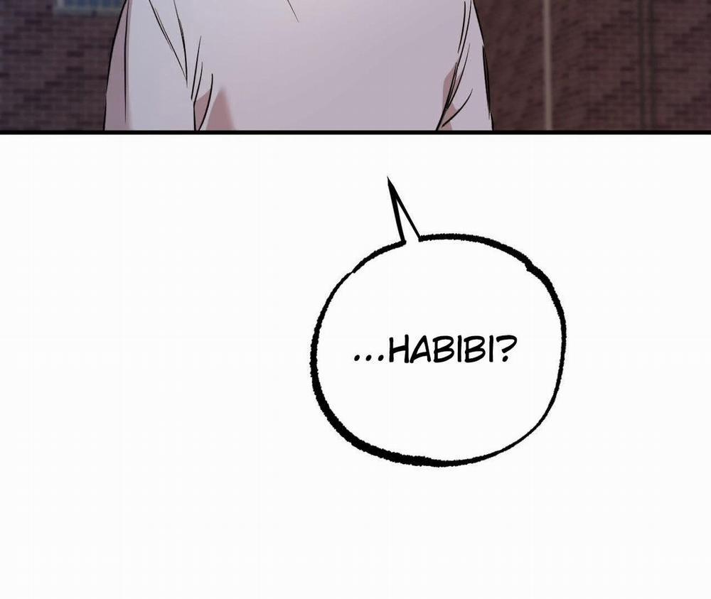 Đàn Thỏ Của Habibi 58 trang 198