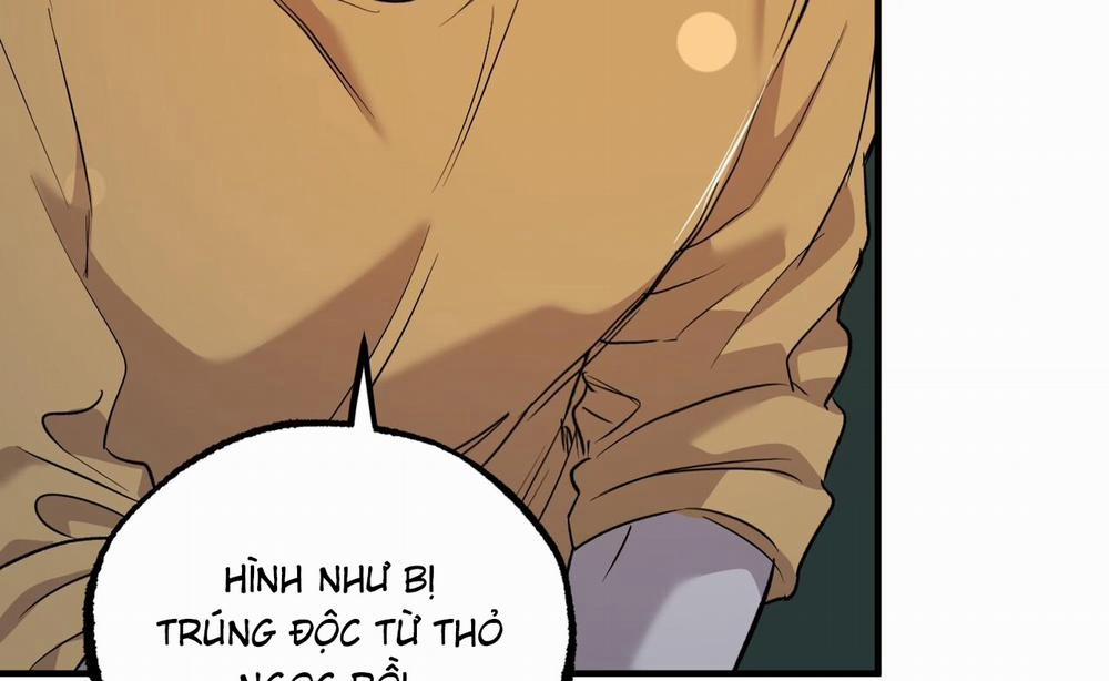 Đàn Thỏ Của Habibi 58 trang 224