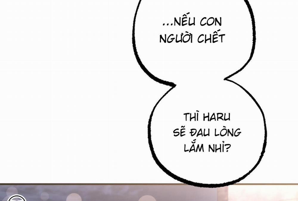 Đàn Thỏ Của Habibi 58 trang 249