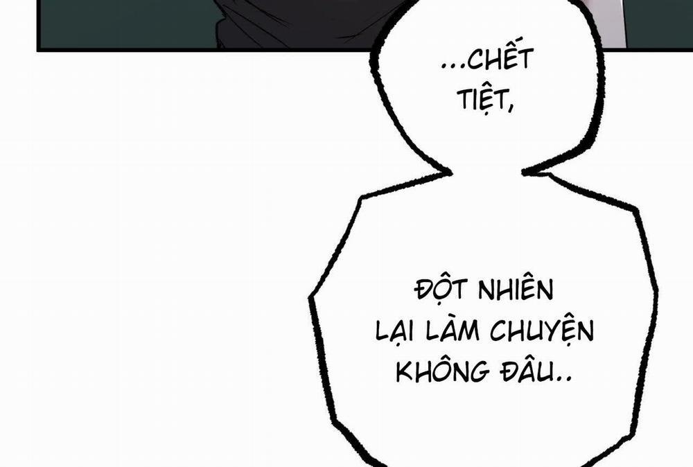 Đàn Thỏ Của Habibi 58 trang 255