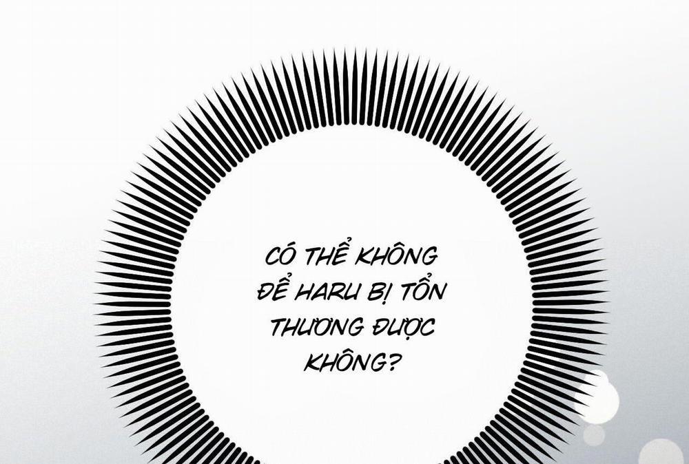 Đàn Thỏ Của Habibi 58 trang 263