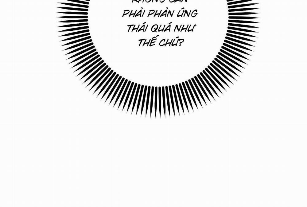 Đàn Thỏ Của Habibi 58 trang 47