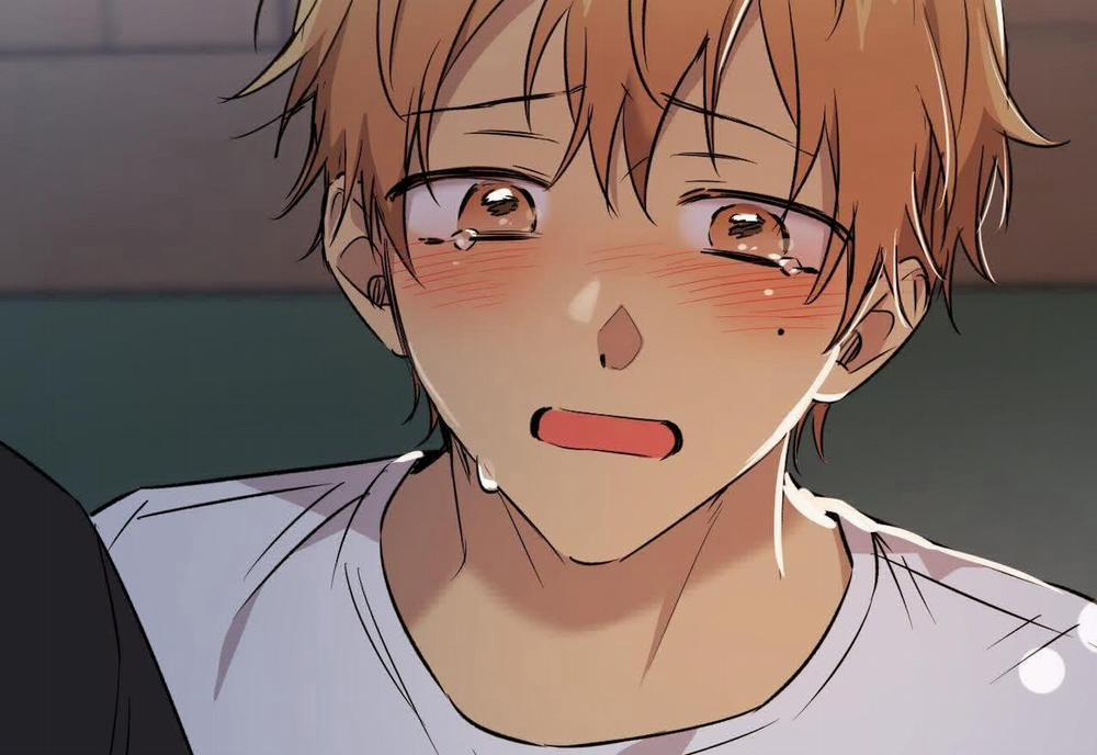 Đàn Thỏ Của Habibi 59 trang 131