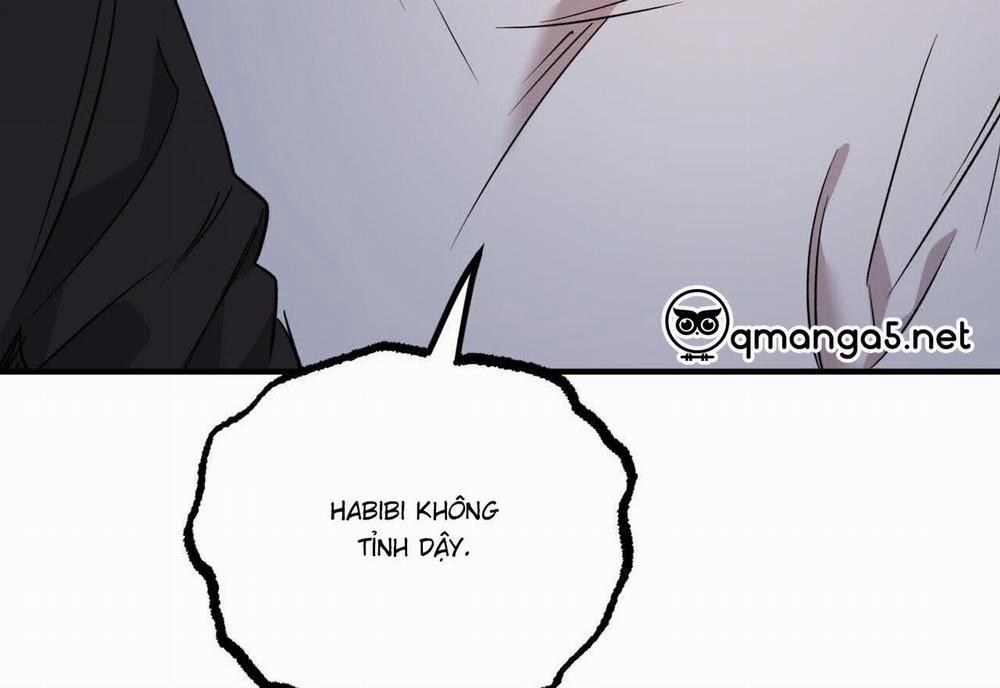 Đàn Thỏ Của Habibi 59 trang 132