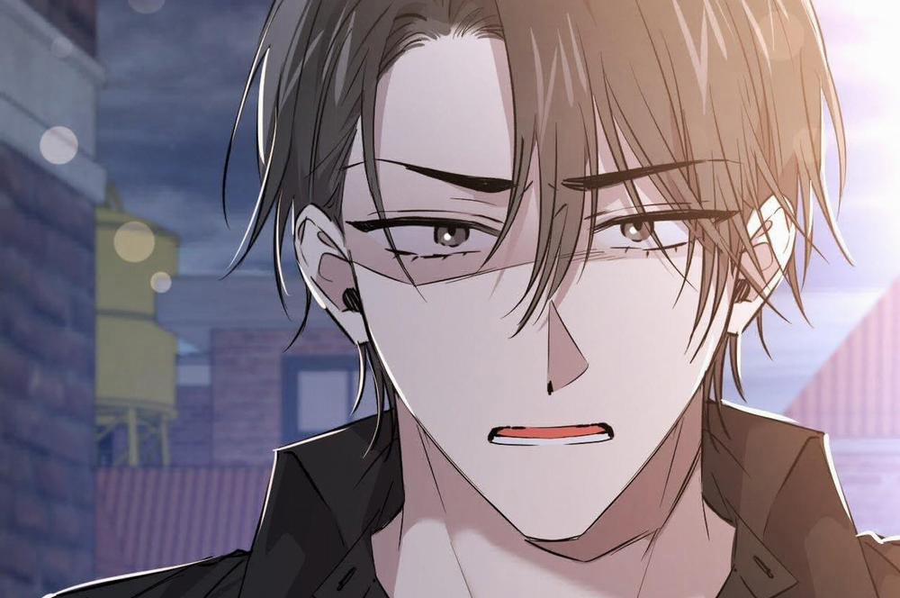 Đàn Thỏ Của Habibi 59 trang 153