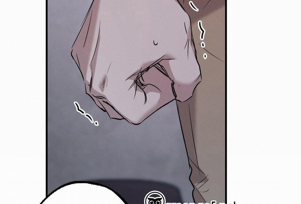 Đàn Thỏ Của Habibi 59 trang 173