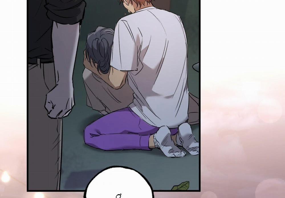 Đàn Thỏ Của Habibi 59 trang 2