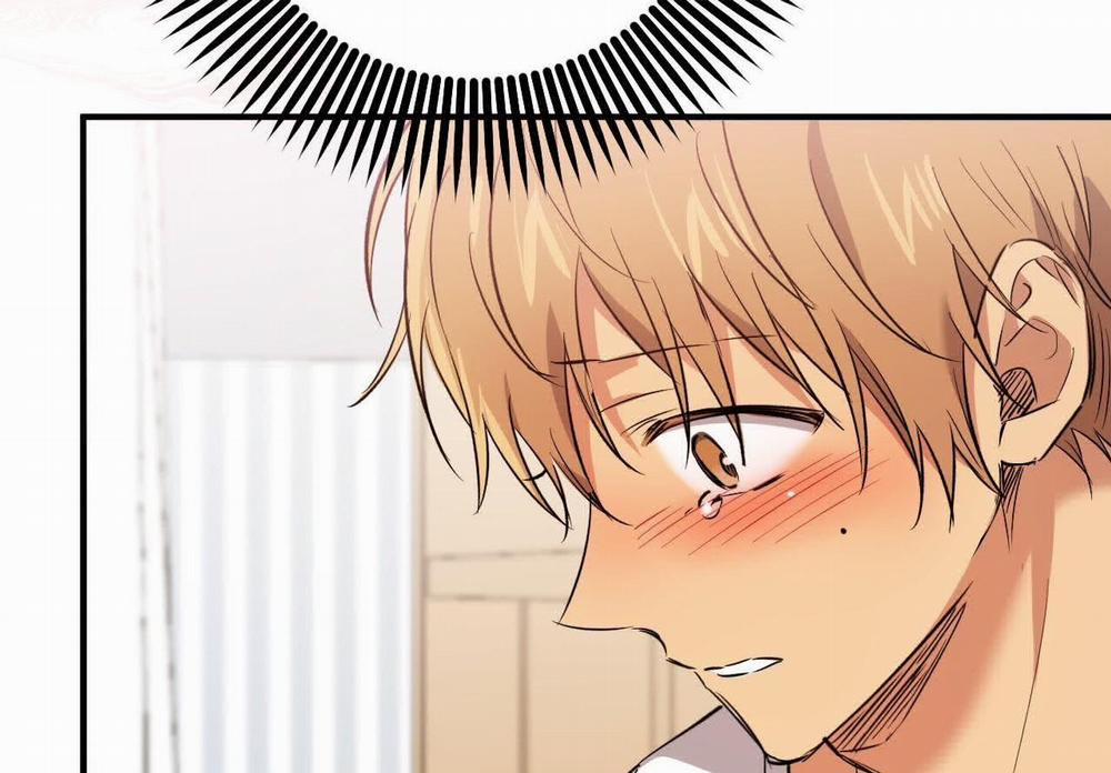 Đàn Thỏ Của Habibi 59 trang 217