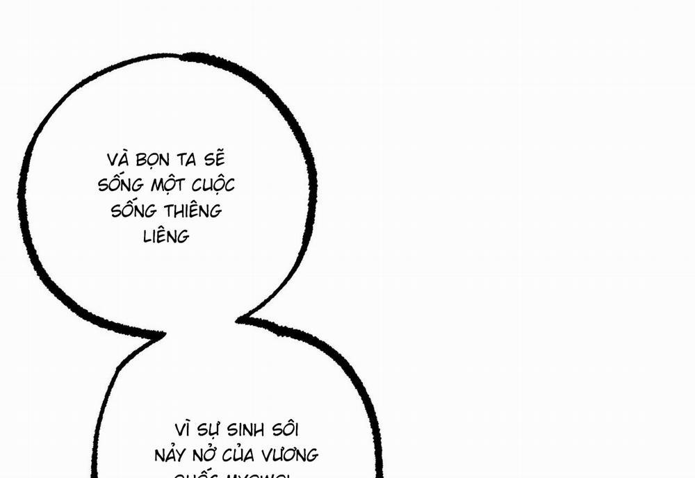 Đàn Thỏ Của Habibi 59 trang 268