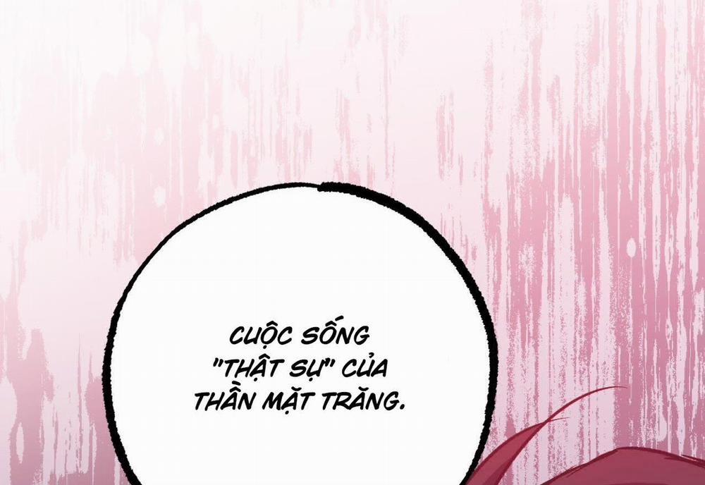 Đàn Thỏ Của Habibi 59 trang 273