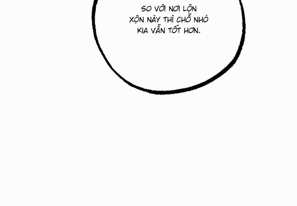 Đàn Thỏ Của Habibi 59 trang 94