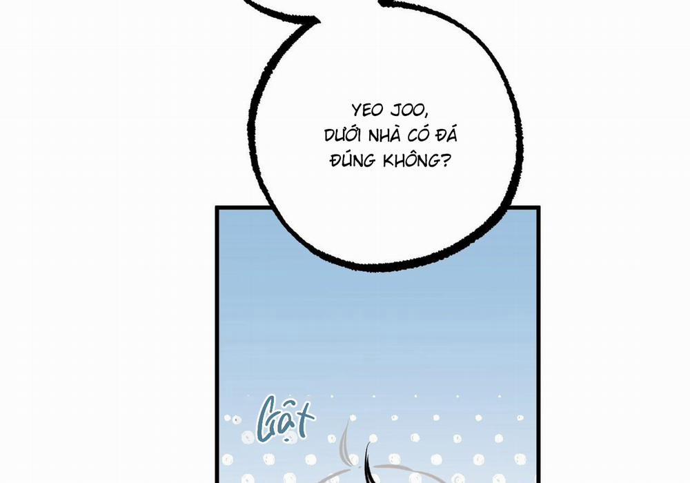 Đàn Thỏ Của Habibi 60 trang 196