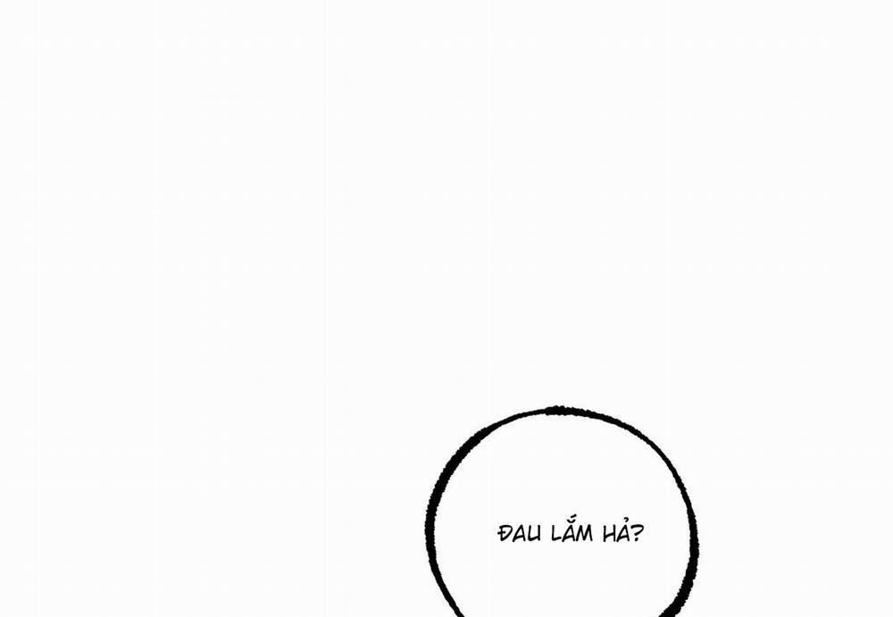 Đàn Thỏ Của Habibi 60 trang 208