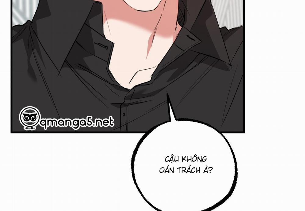 Đàn Thỏ Của Habibi 60 trang 225