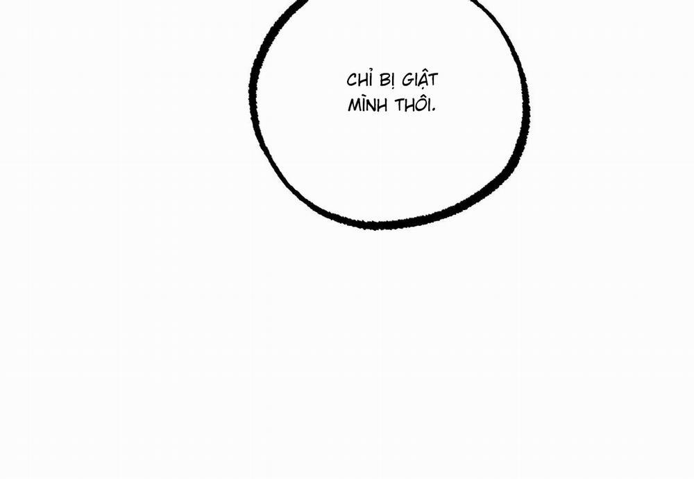 Đàn Thỏ Của Habibi 60 trang 237