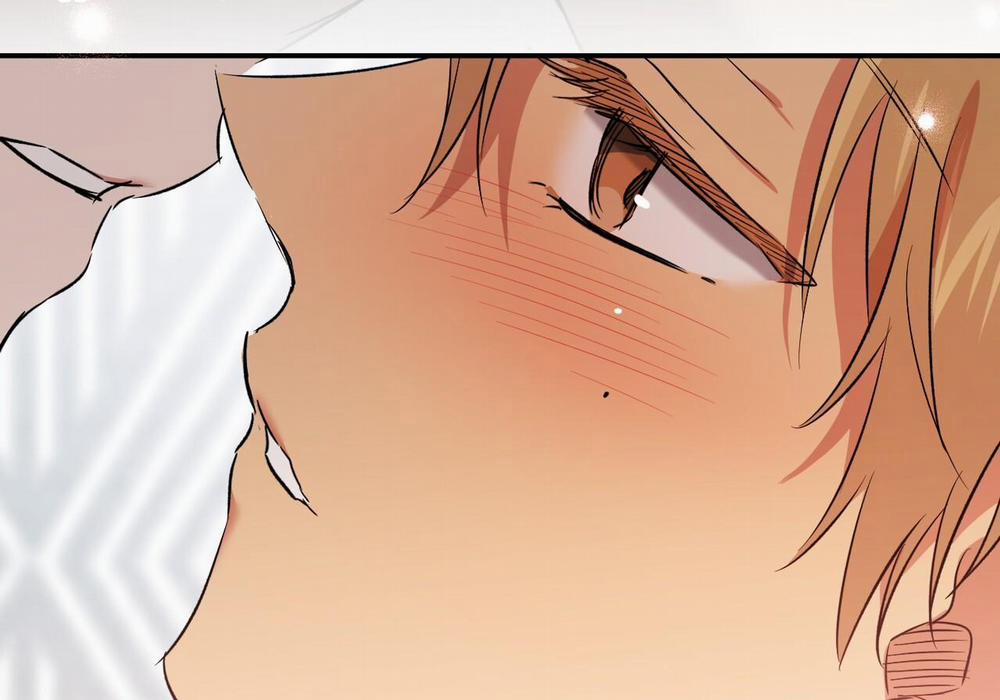 Đàn Thỏ Của Habibi 60 trang 247