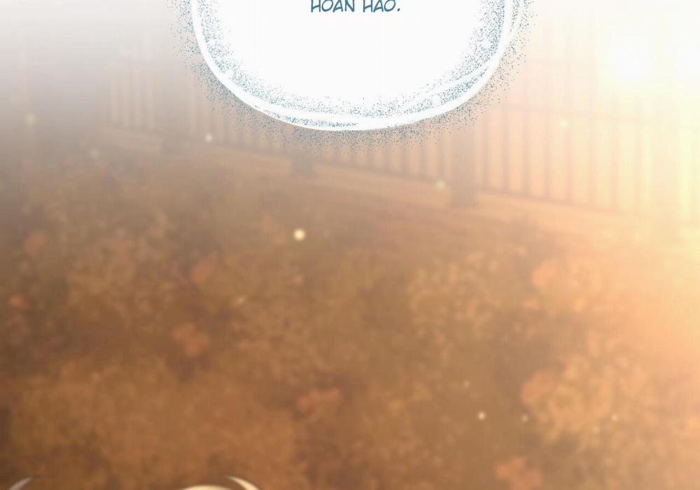 Đàn Thỏ Của Habibi 60 trang 257