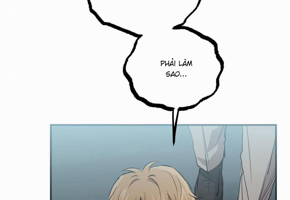 Đàn Thỏ Của Habibi 60 trang 44