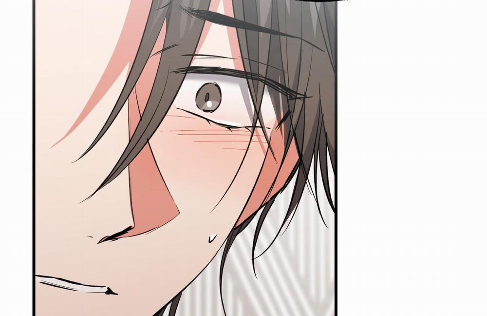 Đàn Thỏ Của Habibi 61 trang 110