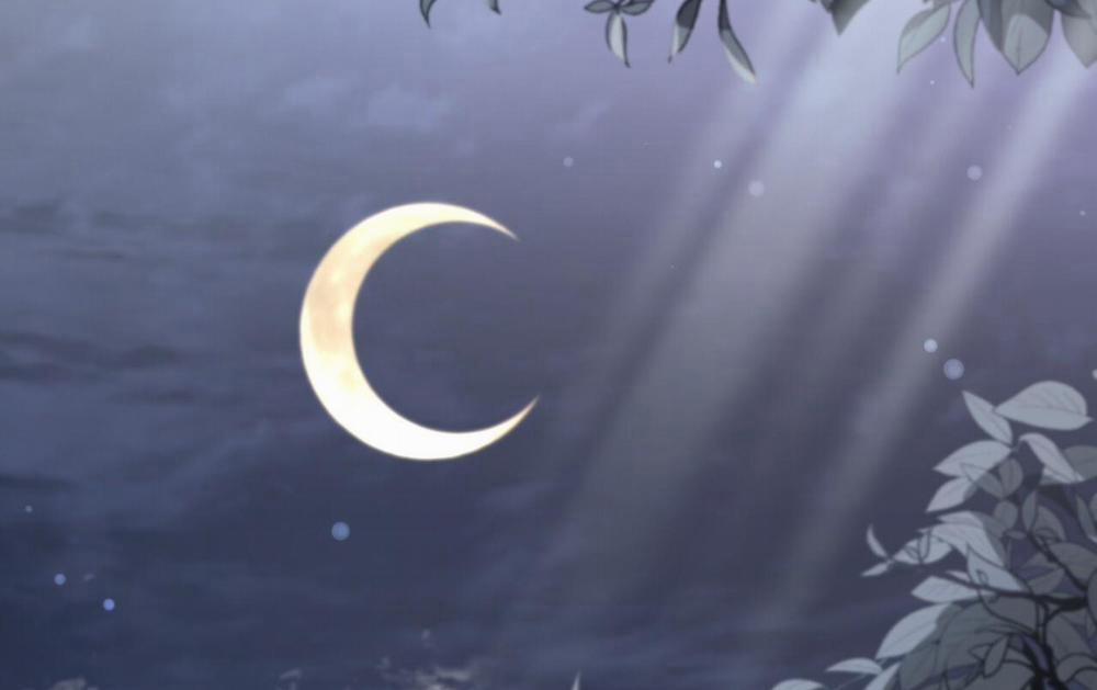 Đàn Thỏ Của Habibi 61 trang 158