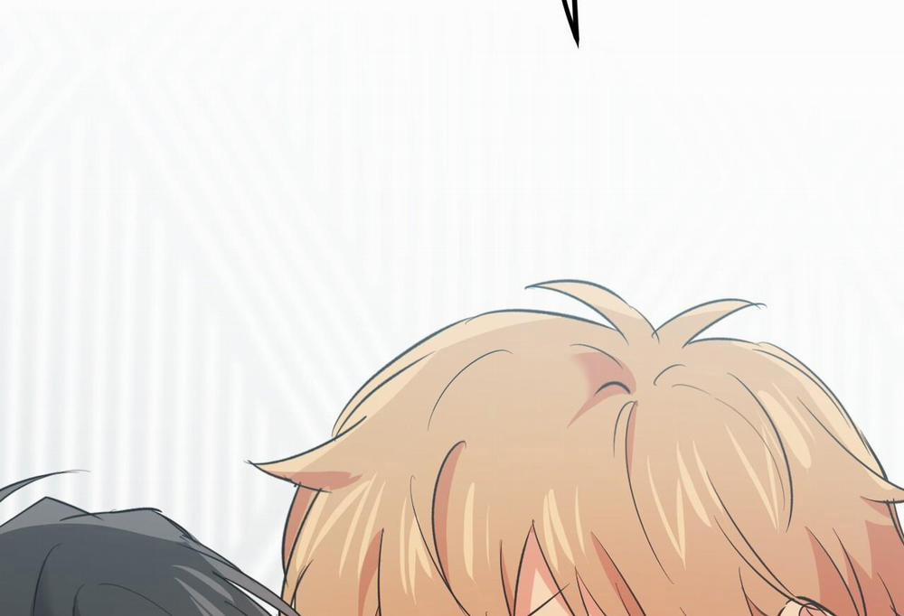 Đàn Thỏ Của Habibi 61 trang 2