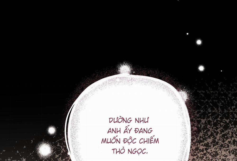 Đàn Thỏ Của Habibi 61 trang 209