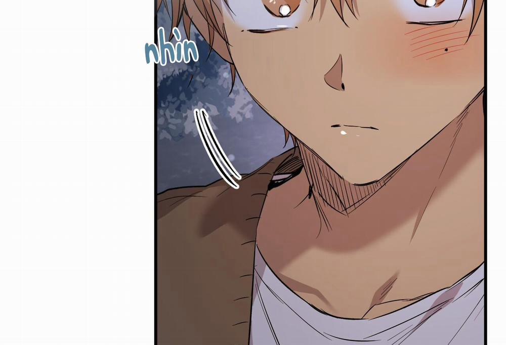 Đàn Thỏ Của Habibi 61 trang 212