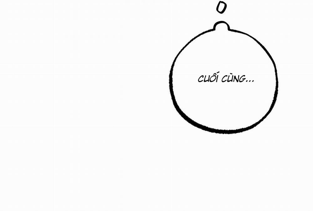 Đàn Thỏ Của Habibi 61 trang 236