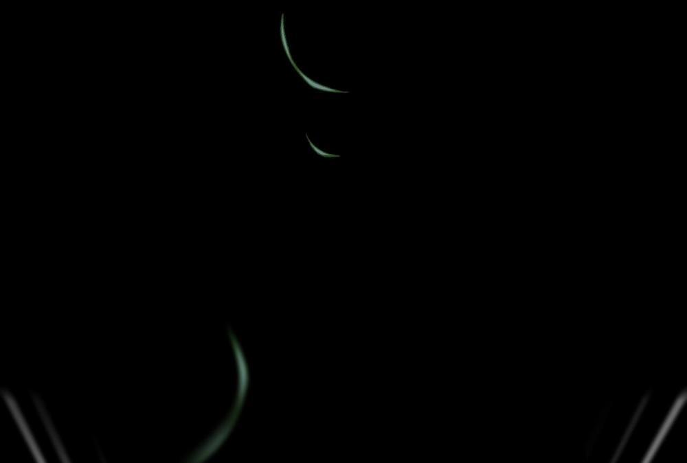 Đàn Thỏ Của Habibi 61 trang 241