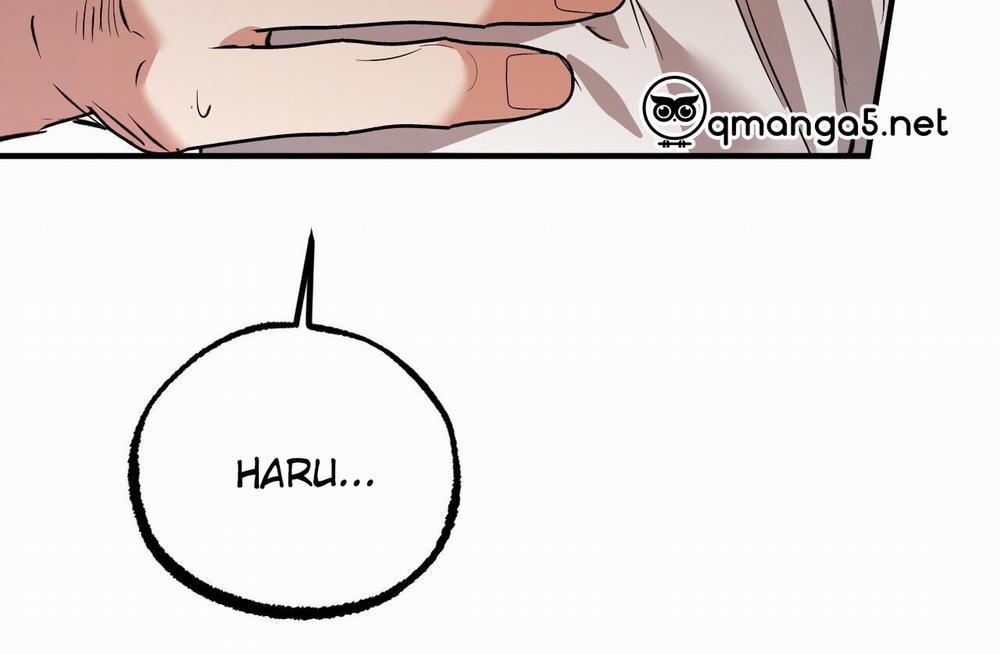 Đàn Thỏ Của Habibi 61 trang 36