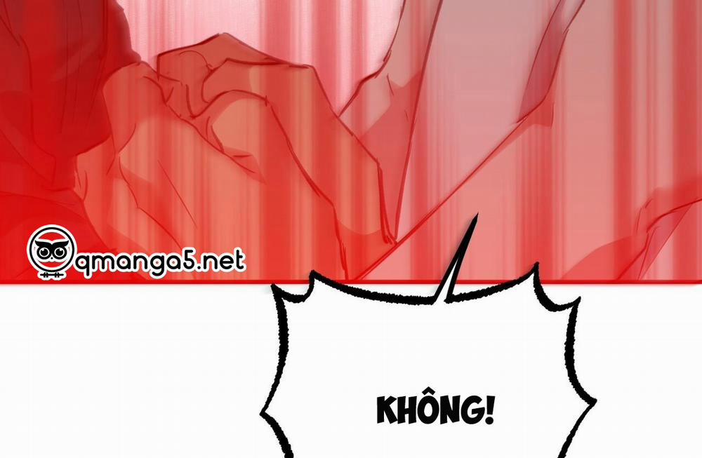 Đàn Thỏ Của Habibi 61 trang 42