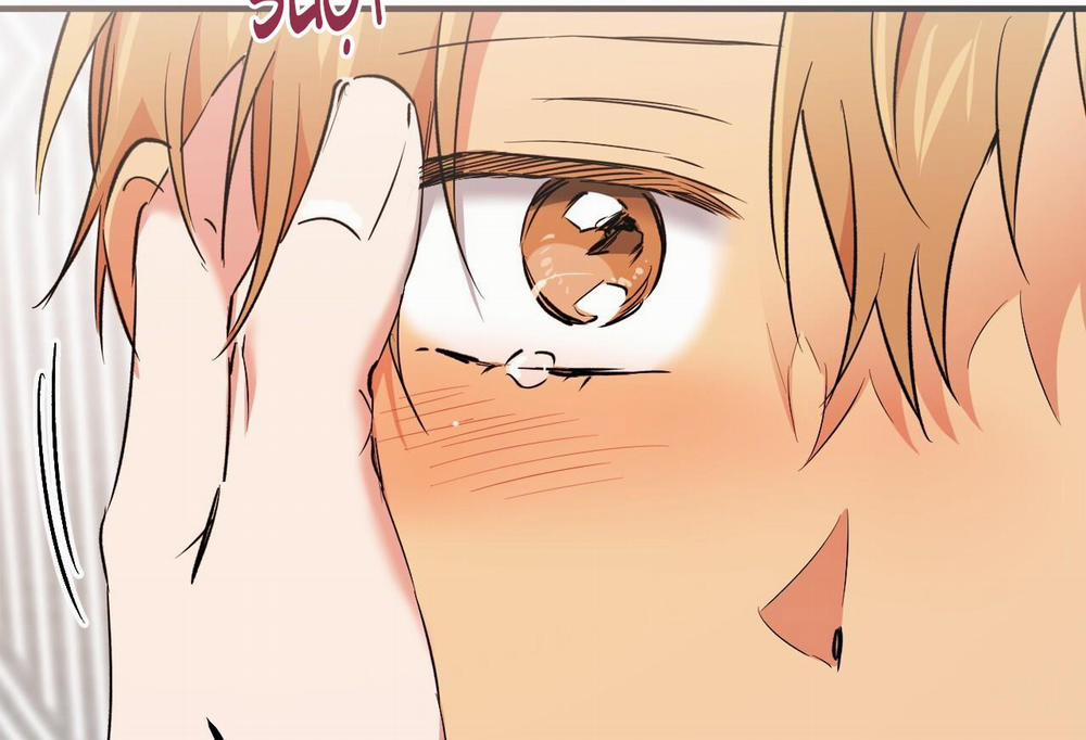 Đàn Thỏ Của Habibi 61 trang 73