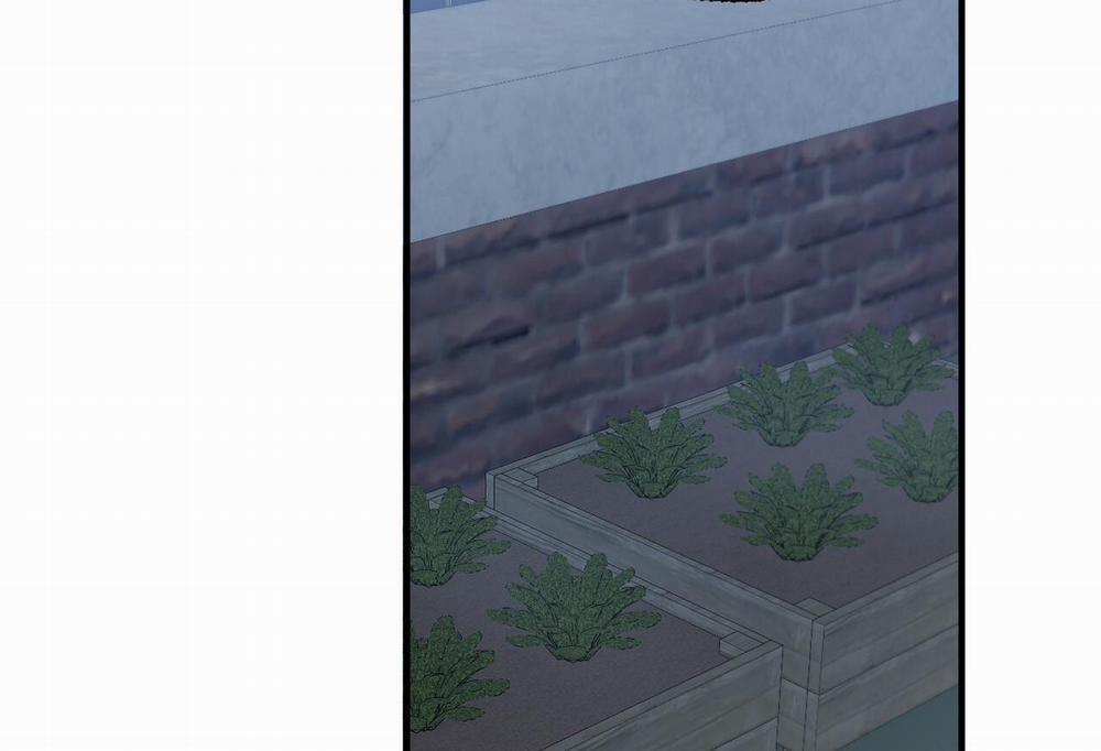 Đàn Thỏ Của Habibi 61 trang 77