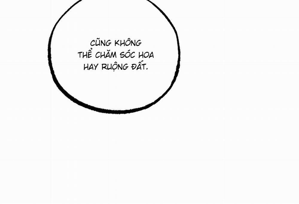 Đàn Thỏ Của Habibi 61 trang 79