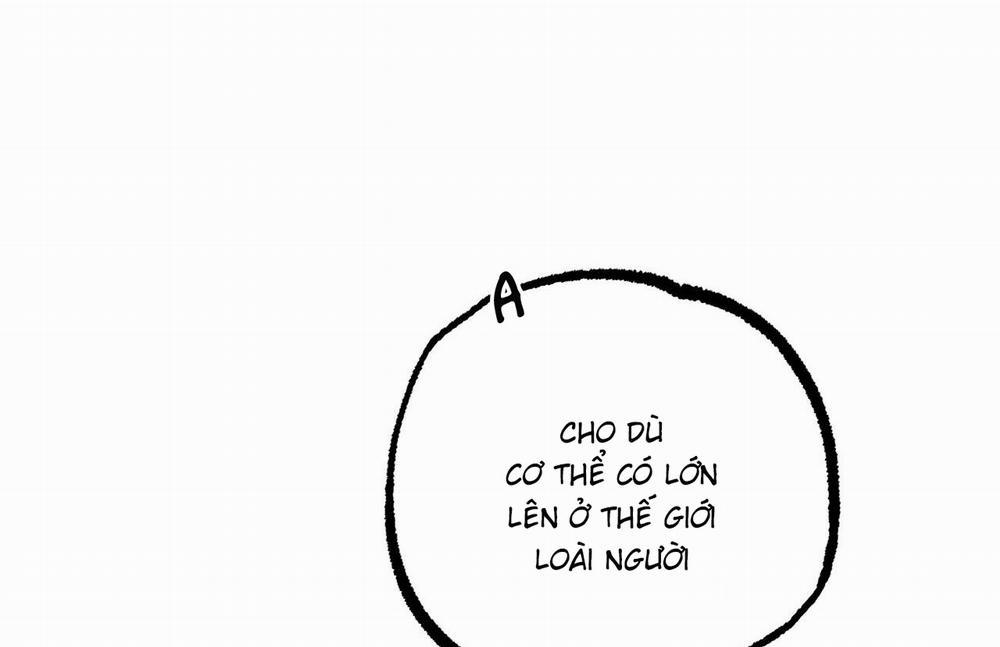 Đàn Thỏ Của Habibi 61 trang 96