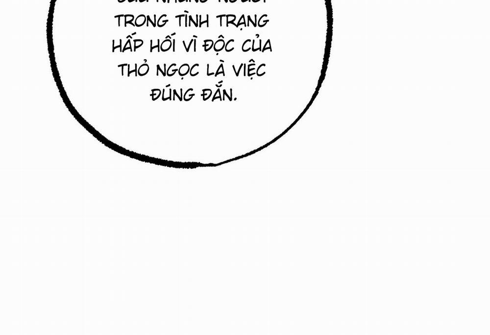 Đàn Thỏ Của Habibi 62 trang 129