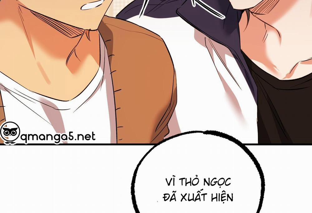 Đàn Thỏ Của Habibi 62 trang 141