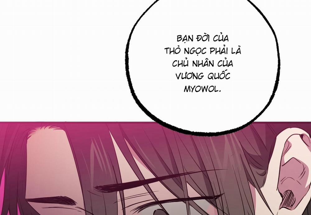 Đàn Thỏ Của Habibi 62 trang 160