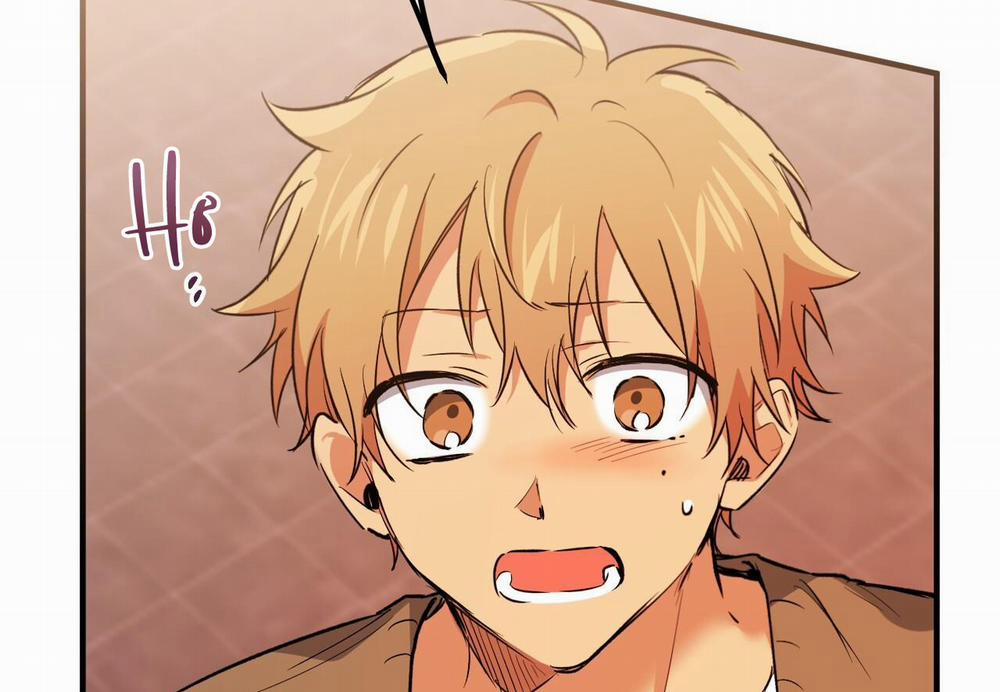 Đàn Thỏ Của Habibi 62 trang 171