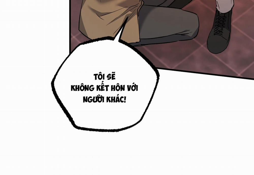 Đàn Thỏ Của Habibi 62 trang 178