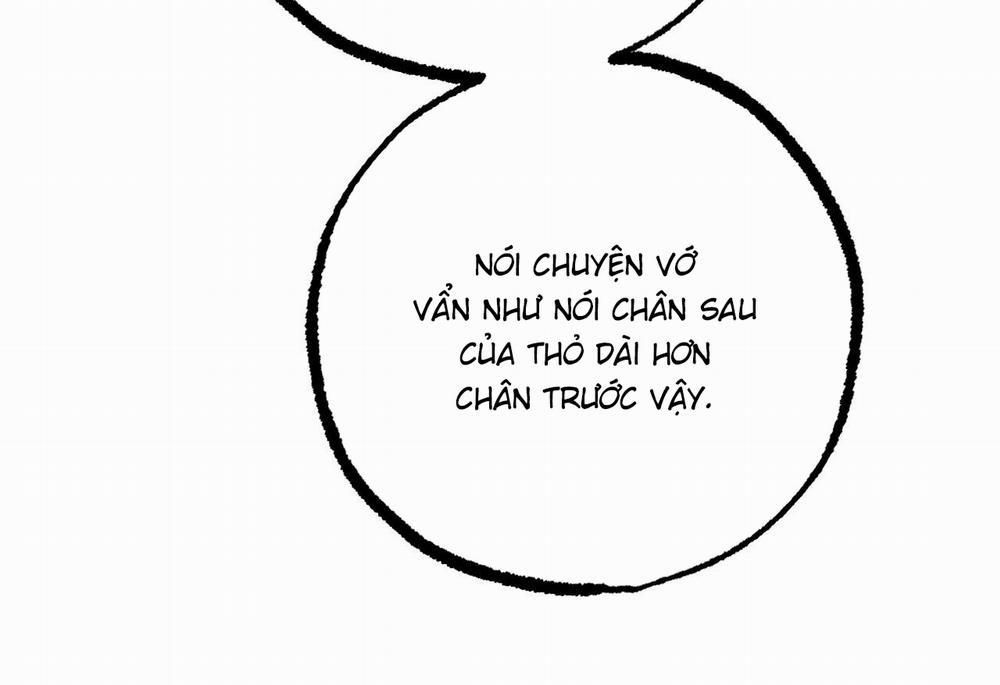 Đàn Thỏ Của Habibi 62 trang 237