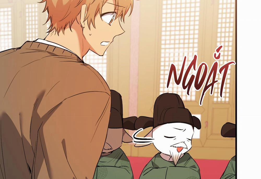 Đàn Thỏ Của Habibi 62 trang 240