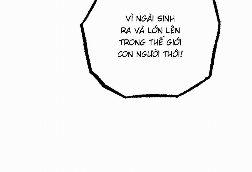 Đàn Thỏ Của Habibi 62 trang 242