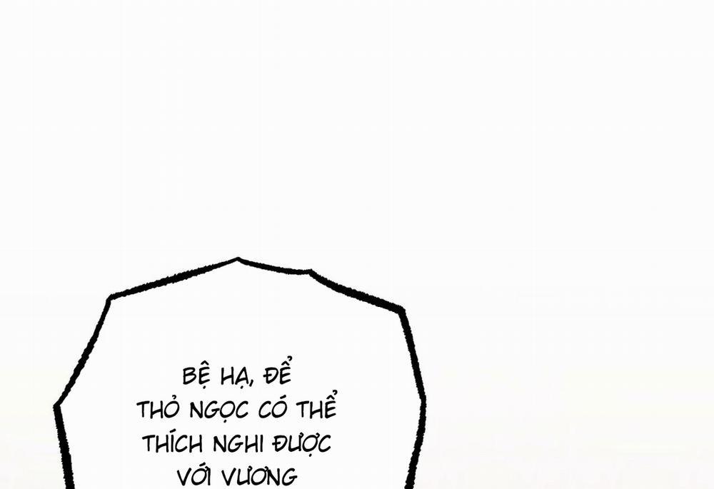 Đàn Thỏ Của Habibi 62 trang 243