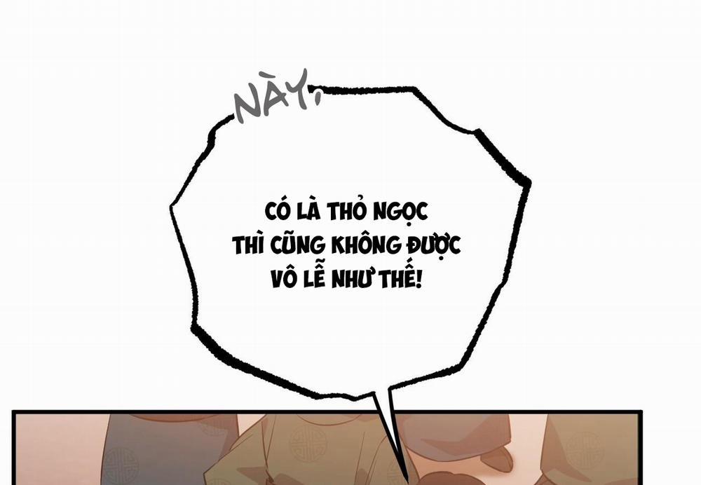 Đàn Thỏ Của Habibi 62 trang 263