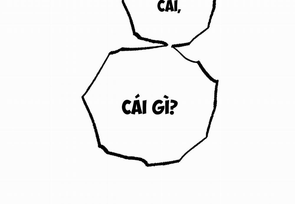 Đàn Thỏ Của Habibi 62 trang 274