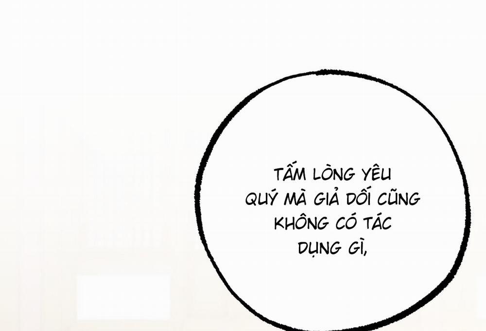 Đàn Thỏ Của Habibi 62 trang 300